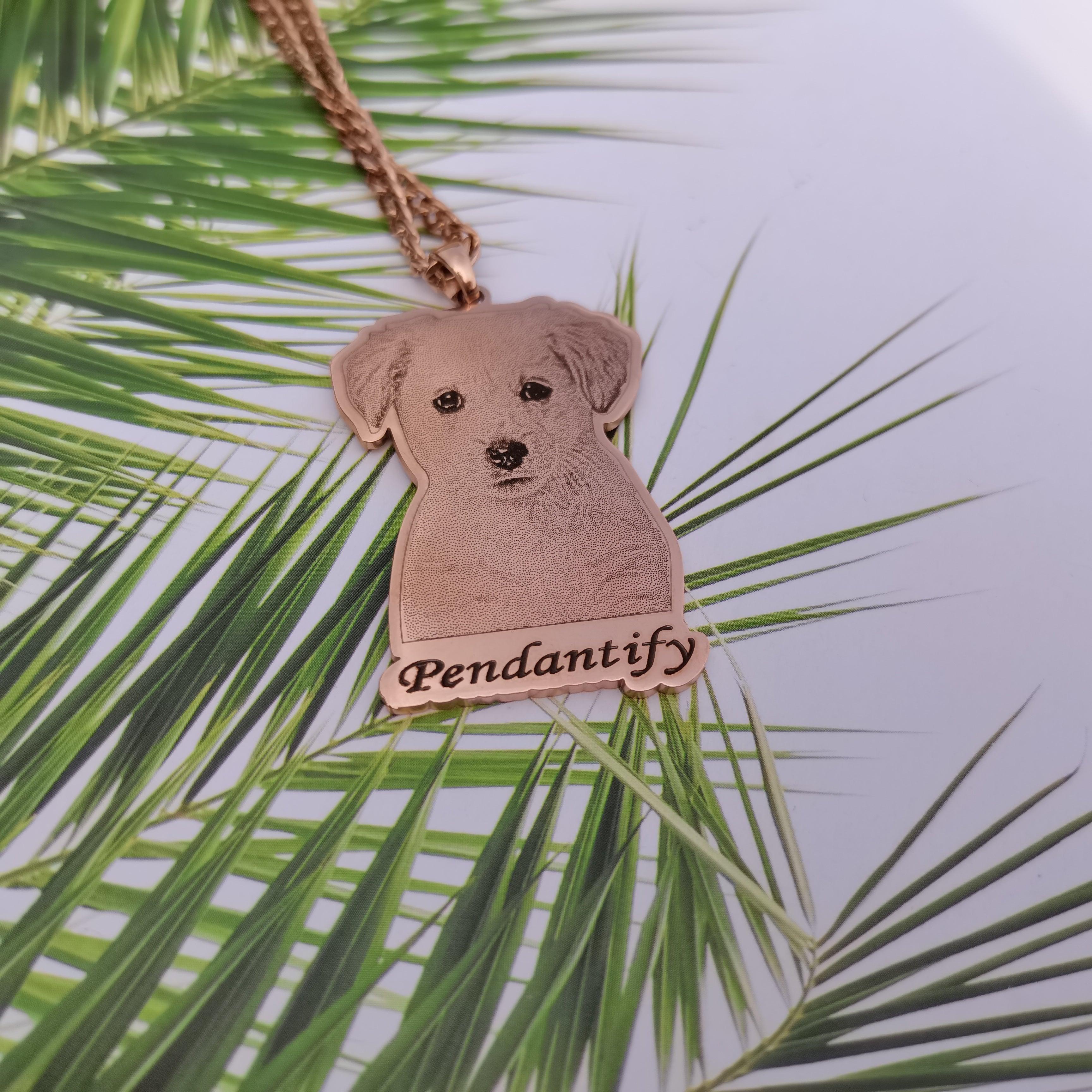 Pet necklace outlet engraved